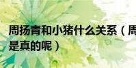 周扬青和小猪什么关系(周扬青黑罗志祥是不是真的呢)