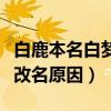 白鹿本名白梦妍是什么时候改的名（揭秘明星改名原因）