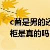 c菌是男的还是女的（网传c菌和莫璃双双出柜是真的吗）