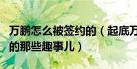 万鹏怎么被签约的(起底万鹏进入壹加壹公司的那些趣事儿)