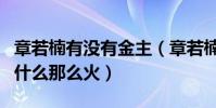 章若楠有没有金主(章若楠是怎么火起来的为什么那么火)