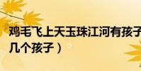 鸡毛飞上天玉珠江河有孩子吗(骆玉珠一共有几个孩子)