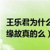 王乐君为什么不火（网传因为是胡歌的前女友缘故真的么）