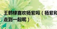 王鹤棣喜欢杨紫吗(杨紫和王鹤棣最后会不会走到一起呢)