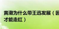 黄渤为什么带王迅发展(因为黄渤的帮助王迅才能走红)