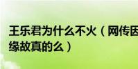 王乐君为什么不火(网传因为是胡歌的前女友缘故真的么)