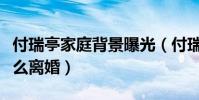 付瑞亭家庭背景曝光(付瑞亭和声音陈冰为什么离婚)