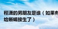 程潇的男朋友是谁(如果有男友也不会无聊到给蜥蜴接生了)