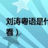 刘涛粤语是什么原因（她的这部早期作品真心看）