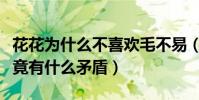 花花为什么不喜欢毛不易(毛不易和华晨宇究竟有什么矛盾)