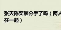 张天陈奕辰分手了吗(两人因为参加综艺节目在一起)