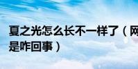 夏之光怎么长不一样了(网上曝光夏之光整容是咋回事)
