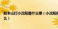 赵本山打小沈阳是什么梗(小沈阳离开赵本山是因为被打了么)