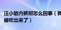 汪小敏内裤照怎么回事(舞台上的汪小敏内裤被吹出来了)
