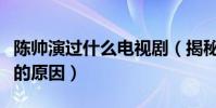 陈帅演过什么电视剧(揭秘陈帅出道至今不火的原因)