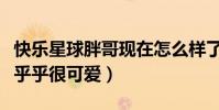 快乐星球胖哥现在怎么样了(曾经的他身材胖乎乎很可爱)