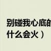 别碰我心底的小柔软什么时候开播（网播剧为什么会火）