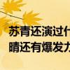 苏青还演过什么电视剧（这部剧她是女一比尔晴还有爆发力）