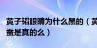 黄子韬眼睛为什么黑的(黄子韬的黑眼圈是卧蚕是真的么)