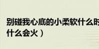 别碰我心底的小柔软什么时候开播(网播剧为什么会火)