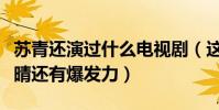 苏青还演过什么电视剧(这部剧她是女一比尔晴还有爆发力)