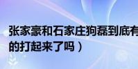 张家豪和石家庄狗磊到底有什么恩怨(他们真的打起来了吗)