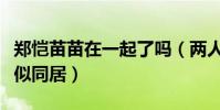 郑恺苗苗在一起了吗(两人一起回公寓被拍疑似同居)