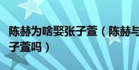 陈赫为啥娶张子萱(陈赫与许婧离婚原因是张子萱吗)