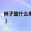 林子量什么来头（网友对其家境背景十分好奇）