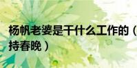 杨帆老婆是干什么工作的(杨帆为什么不能主持春晚)