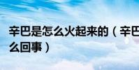 辛巴是怎么火起来的(辛巴燕窝事件究竟是怎么回事)