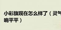 小彩旗现在怎么样了(灵气不再的她的作品反响平平)