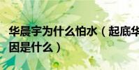 华晨宇为什么怕水(起底华晨宇怕水的真正原因是什么)