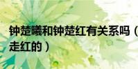 钟楚曦和钟楚红有关系吗(钟楚曦是怎么成功走红的)