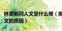 林更新同人文是什么梗(揭秘林更新分享同人文的原因)
