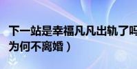 下一站是幸福凡凡出轨了吗(丈夫出轨杨小雨为何不离婚)
