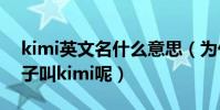 kimi英文名什么意思(为什么林志颖的大儿子叫kimi呢)