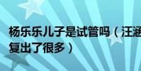 杨乐乐儿子是试管吗(汪涵夫妻两人对小沐沐复出了很多)