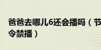 爸爸去哪儿6还会播吗(节目有可能因为禁童令禁播)
