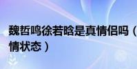 魏哲鸣徐若晗是真情侣吗(魏哲鸣发文官宣感情状态)