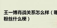 王一博肖战关系怎么样(曝王一博起诉肖战的粉丝什么梗)