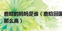 鹿晗的妈妈是谁(鹿晗回国后的人气为什么会那么高)