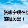 张峻宁现在状况是什么样（高开低走人气下滑的很厉害）