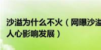 沙溢为什么不火(网曝沙溢白展堂的角色深入人心影响发展)