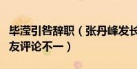 毕滢引咎辞职(张丹峰发长文澄清此前种种网友评论不一)