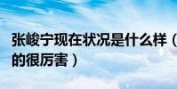 张峻宁现在状况是什么样(高开低走人气下滑的很厉害)
