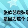 张歆艺袁弘是怎么在一起的引网友热议（原来是因为这个）