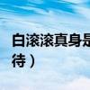 白滚滚真身是什么（三生三世枕上书引网友期待）