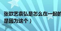 张歆艺袁弘是怎么在一起的引网友热议(原来是因为这个)