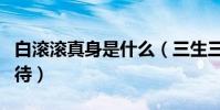 白滚滚真身是什么(三生三世枕上书引网友期待)